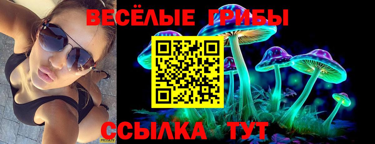 Полевской  Псилоцибиновые грибы мицелий  Вход с VPN 